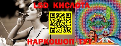 тгк Кингисепп