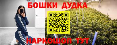 тгк Кингисепп