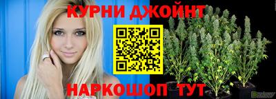 тгк Кингисепп