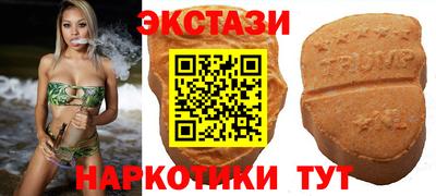 тгк Кингисепп