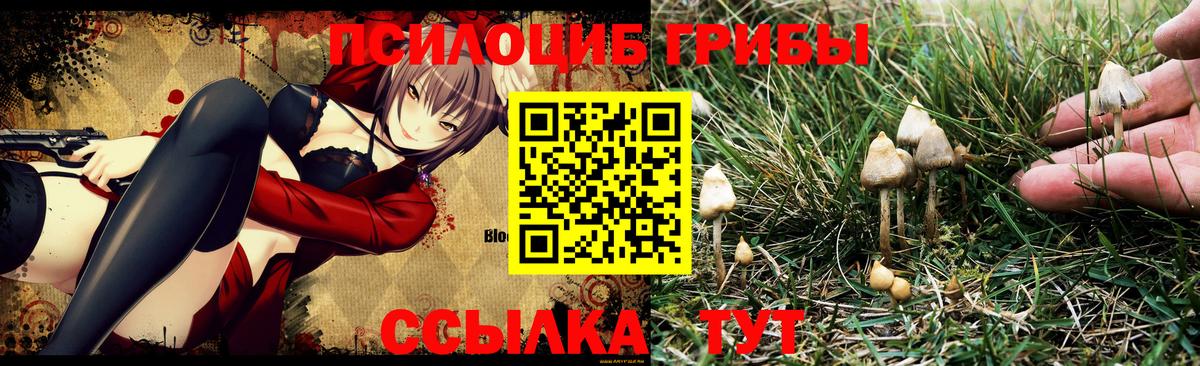 Псилоцибиновые грибы мухоморы  Вход с VPN  Галлюциногенные грибы Psilocybine cubensis  где купить наркотик  Кунгур 